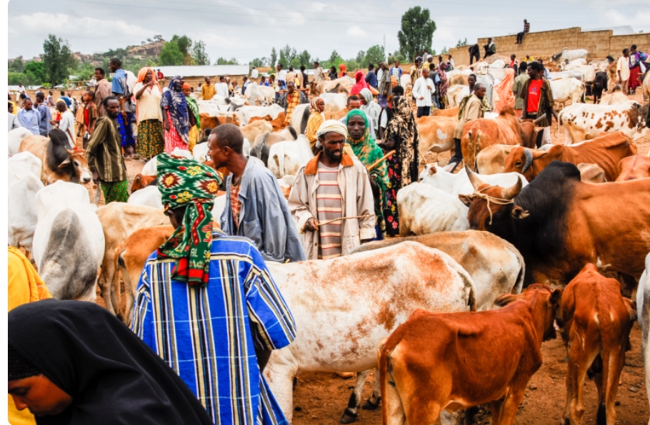 Livestock Farming